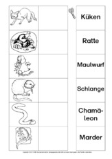 AB-Tiere-Zuordnung 11.pdf